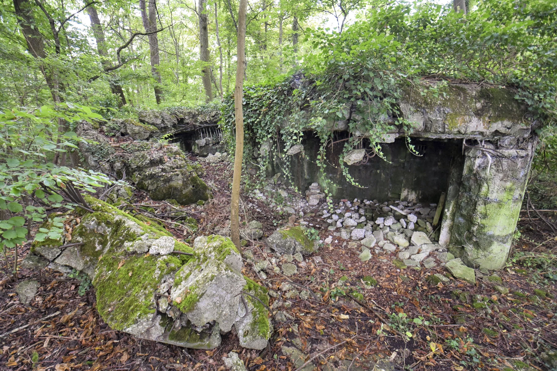 Ligne Maginot - WALDSBURGER SUD - (Blockhaus pour arme infanterie) - 