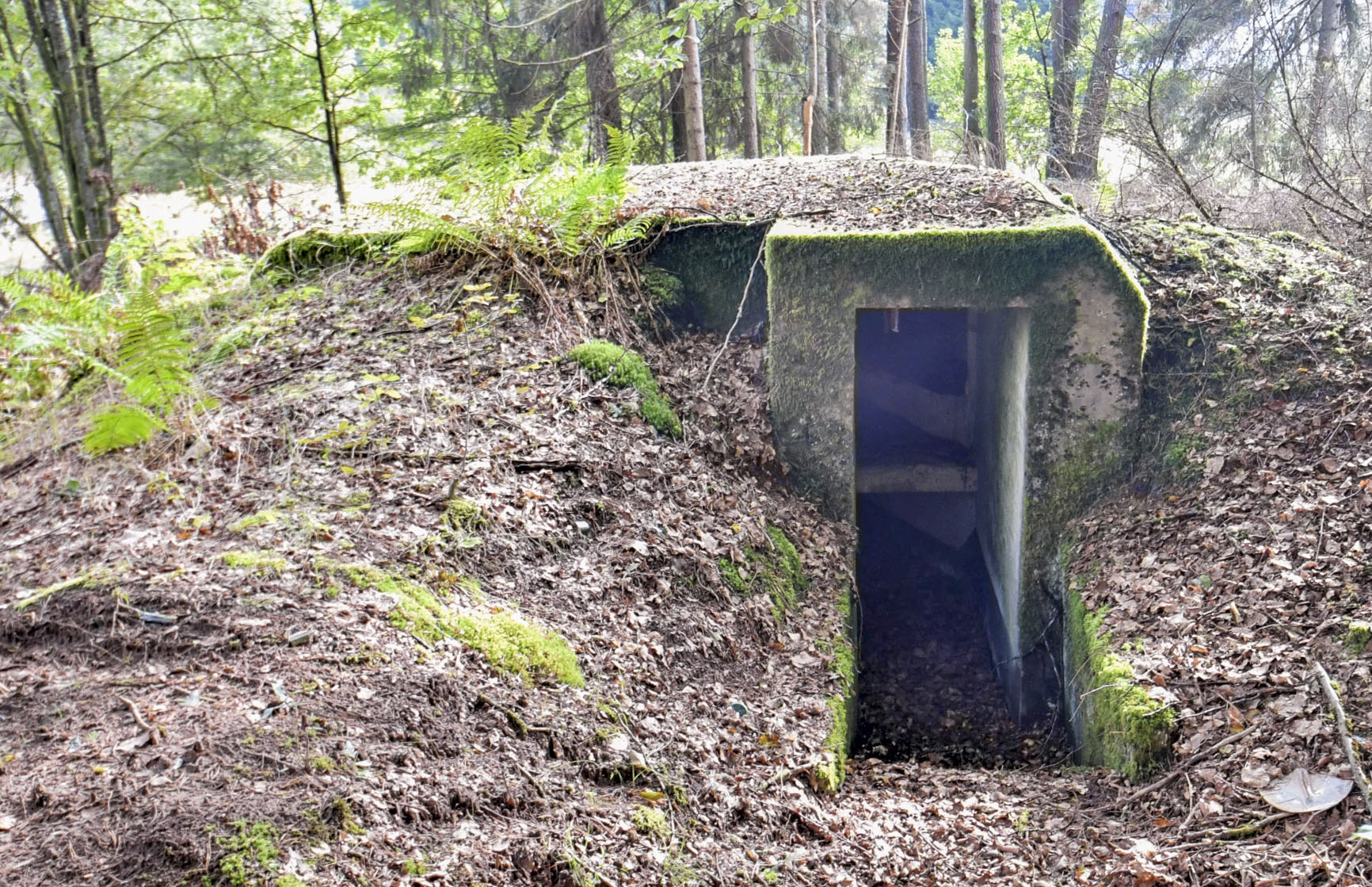 Ligne Maginot - NEUNHOFFEN NORD OUEST 2 - (Blockhaus pour arme infanterie) - 