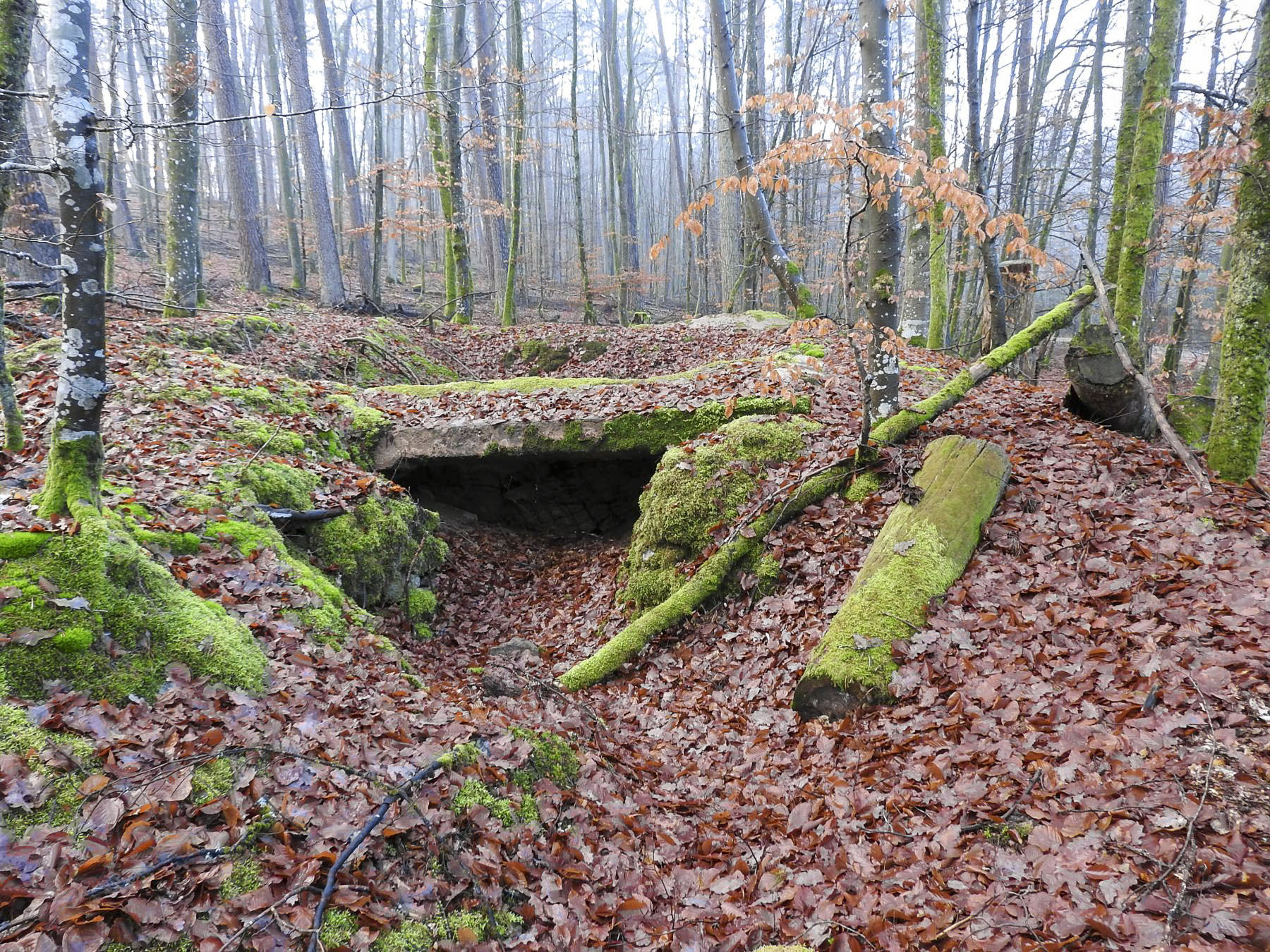 Ligne Maginot - GRAFENWEIHER 3 - (Blockhaus pour arme infanterie) - Les ruines de l'abri