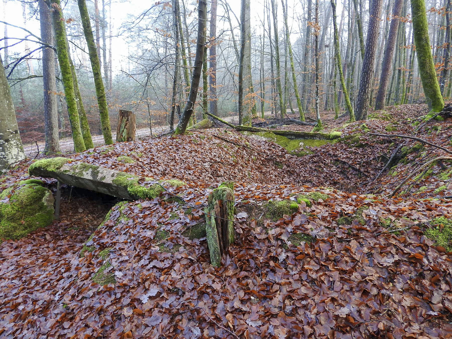 Ligne Maginot - GRAFENWEIHER 3 - (Blockhaus pour arme infanterie) - Les ruines de l'abri