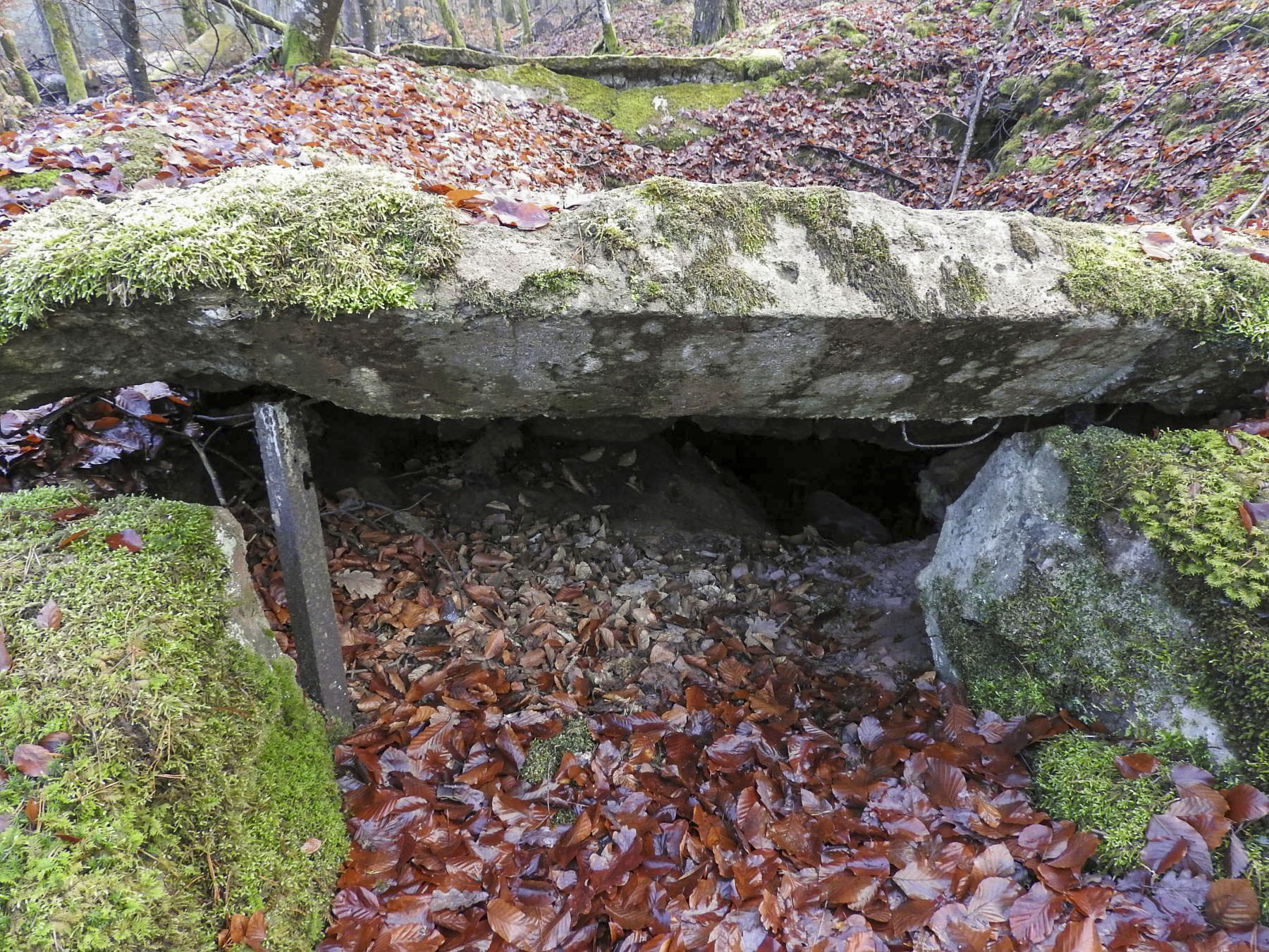 Ligne Maginot - GRAFENWEIHER 3 - (Blockhaus pour arme infanterie) - 