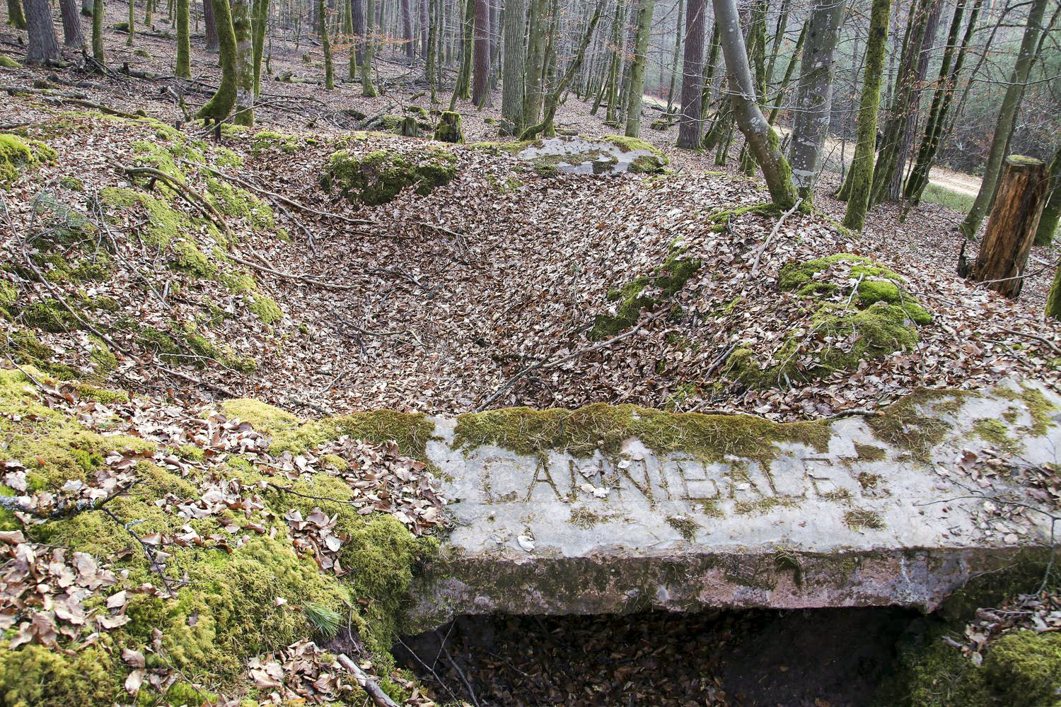 Ligne Maginot - GRAFENWEIHER 3 - (Blockhaus pour arme infanterie) - Inscription Cannibales