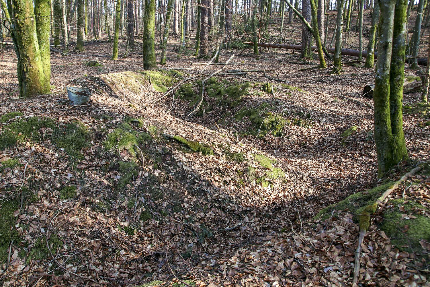 Ligne Maginot - GRAFENWEIHER 3 - (Blockhaus pour arme infanterie) - Tranchée et trou d'homme à proximité.