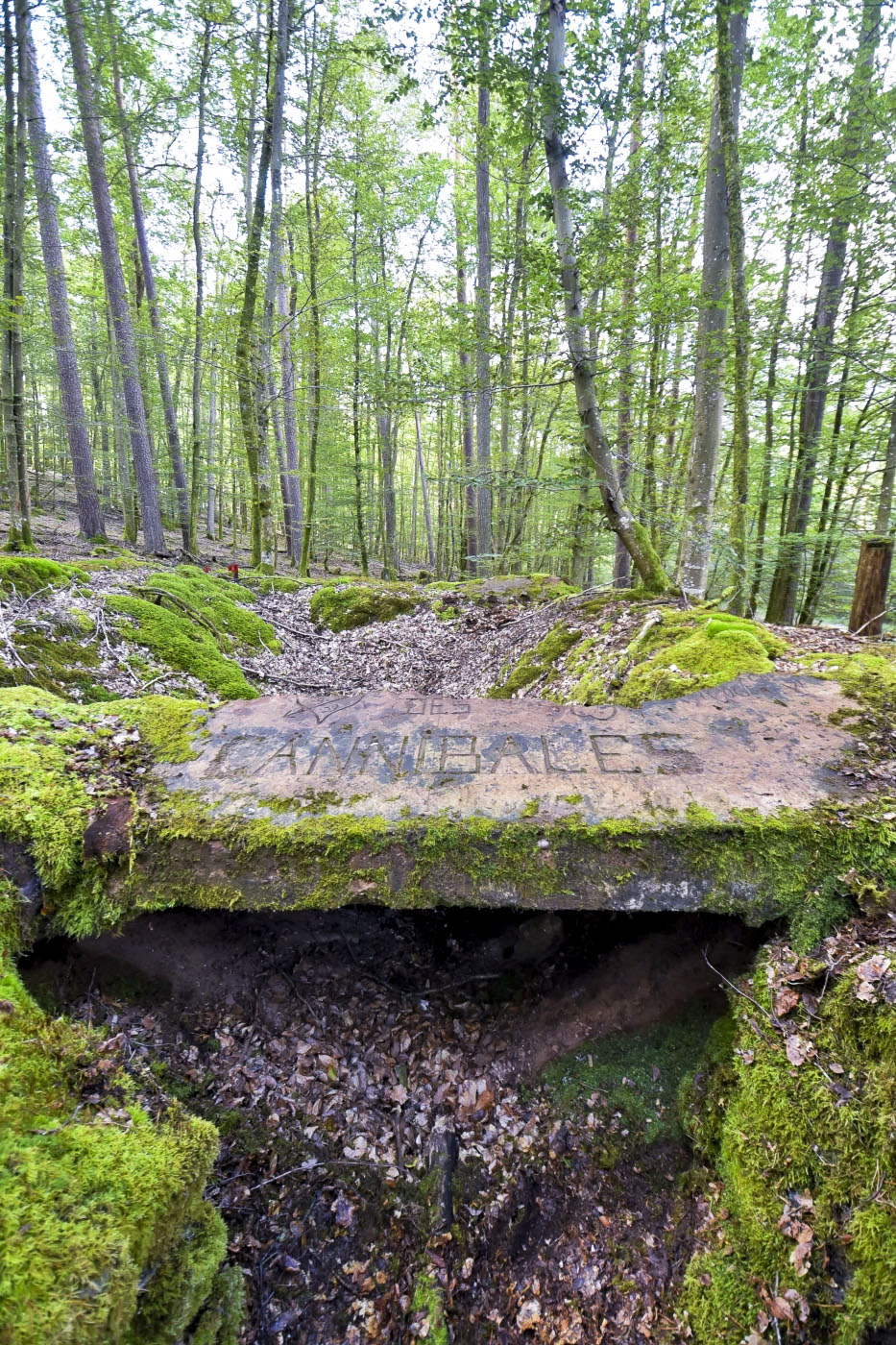 Ligne Maginot - GRAFENWEIHER 3 - (Blockhaus pour arme infanterie) - Le linteau