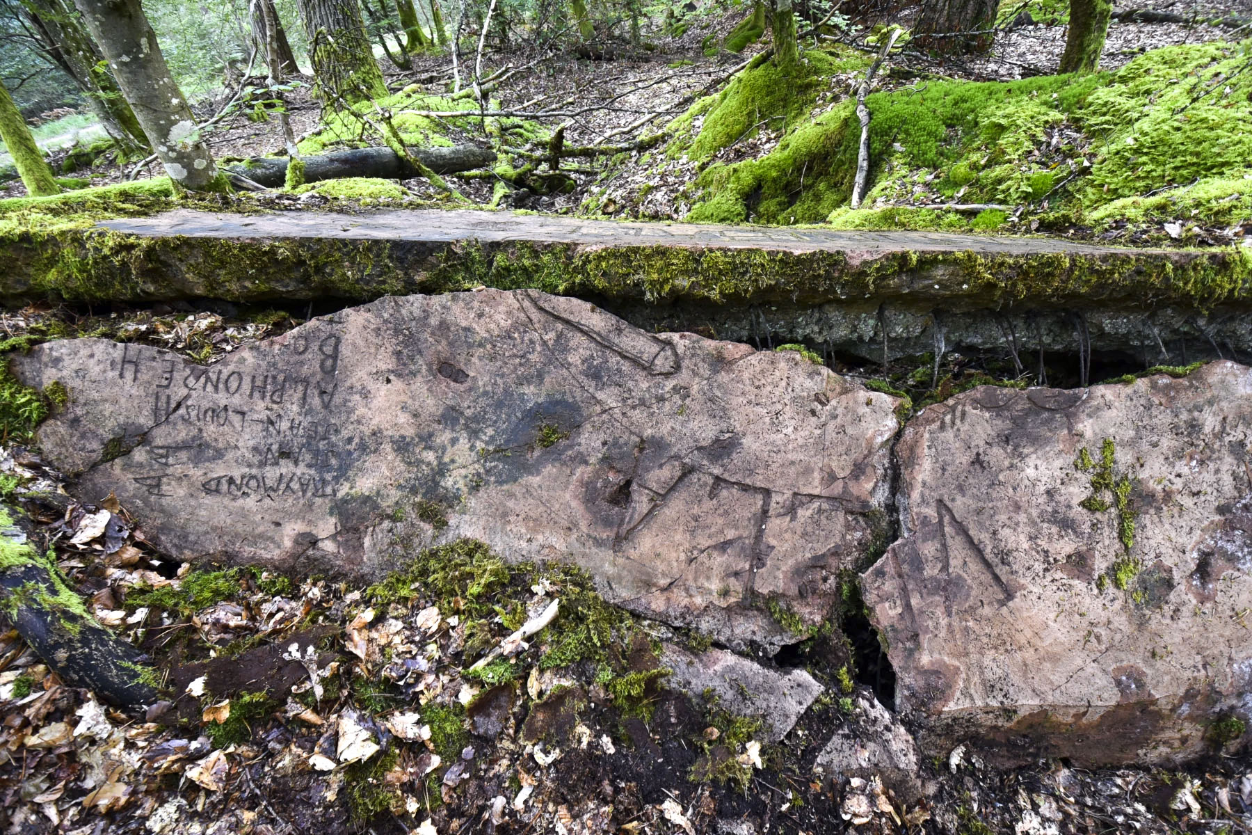 Ligne Maginot - GRAFENWEIHER 3 - (Blockhaus pour arme infanterie) - 