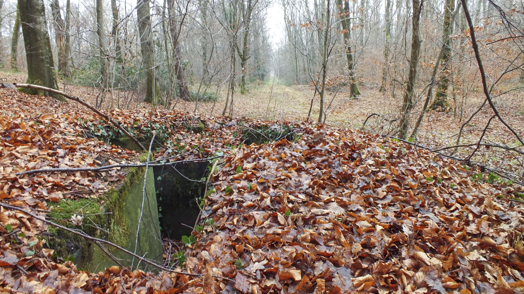 Ligne Maginot - SOUFFLENHEIM EST 2 - (Cuve pour arme d'infanterie) - La cuve est orientée vers le nord