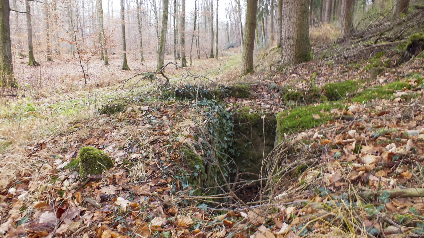 Ligne Maginot - SOUFFLENHEIM EST 1 - (Cuve pour arme d'infanterie) - La cuve qui est orientée vers le sud