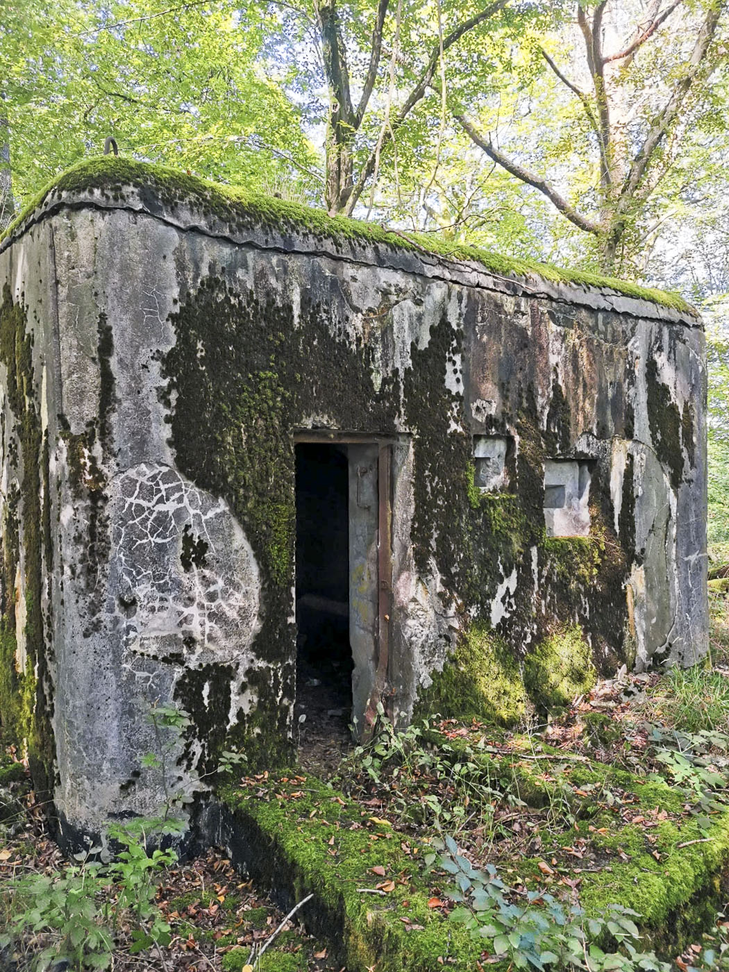 Ligne Maginot - QUATERBRUNNEN - (Blockhaus pour arme infanterie) - Entrée du bloc 