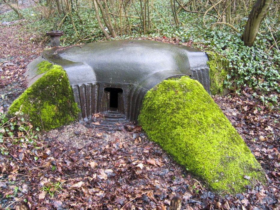 BOIS des SERGENTS - PAMART - (Blockhaus pour arme infanterie)