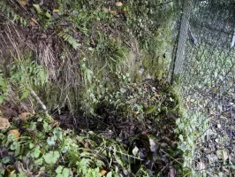 Ligne Maginot - LANGENACKER EST - (Blockhaus pour arme infanterie) - Le bloc pratiquement invisible derrière un réservoir d'eau souterrain 