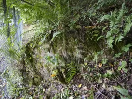 Ligne Maginot - LANGENACKER EST - (Blockhaus pour arme infanterie) - Le bloc pratiquement invisible derrière un réservoir d'eau souterrain 