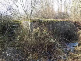 Ligne Maginot - GROSSENWALD - (Poste GRM - Maison Forte) - L'ouvrage est malheureusement au milieu d'un enchevêtrement de ronces .