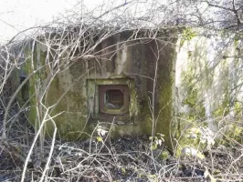 Ligne Maginot - GROSSENWALD - (Poste GRM - Maison Forte) - Créneaux de tir nord