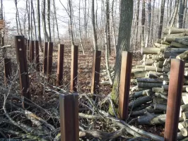 Ligne Maginot - GROSSENWALD - (Poste GRM - Maison Forte) - Reste du réseau de rails anti chars