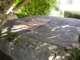 Ligne Maginot - DAMBACH - LA CHAPELLE NORD  - (Blockhaus pour arme infanterie) - Vue de la dalle 