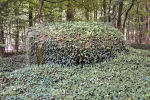 Ligne Maginot - BUCHENHUEBEL 1 - (Blockhaus pour arme infanterie) - Vue de l'avant