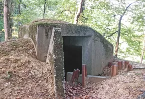 Ligne Maginot - BUCHENHUEBEL 3 - (Blockhaus pour arme infanterie) - 