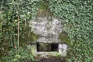 Ligne Maginot - DB317 - BOIS DE BEUVEILLE  OUEST 2 - (Blockhaus pour canon) - Le créneau du canon de 25 mm