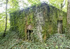 Ligne Maginot - DB317 - BOIS DE BEUVEILLE  OUEST 2 - (Blockhaus pour canon) - A gauche l'entrée du personnel, à droite l'entrée du matériel