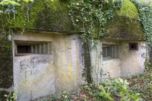 Ligne Maginot - DB30 - BOIS DE TAPPE - (Blockhaus pour canon) - 