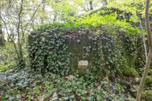 Ligne Maginot - DB329 - BOIS DE LA HEURETTE EST - (Blockhaus pour canon) - Annexe