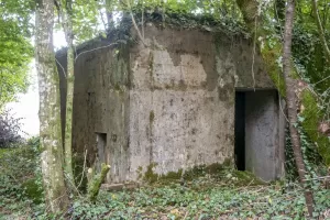 Ligne Maginot - DB318 - BOIS DE BEUVEILLE NORD OUEST - (Blockhaus pour canon) - 