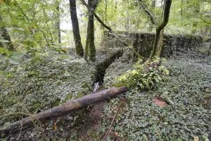 Ligne Maginot - DB330 - BOIS DE LA HEURETTE CENTRE - (Blockhaus pour arme infanterie) - Tranchée vers l'entrée