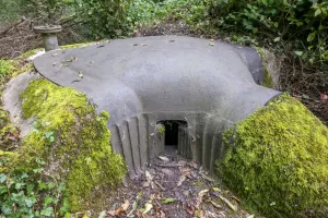 Ligne Maginot - BOIS DES SERGENTS - PAMART - (Blockhaus pour arme infanterie) - 