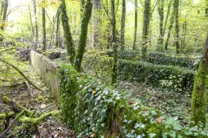 Ligne Maginot - BOIS DE BEUVEILLE - (Casernement) - Ruines du casernement