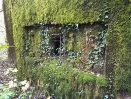 Ligne Maginot - CB304 - BUSCHWIESE 2 - (Blockhaus pour arme infanterie) - Le créneau secundaire