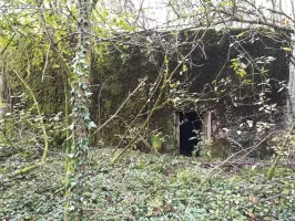 Ligne Maginot - CB304 - BUSCHWIESE 2 - (Blockhaus pour arme infanterie) - L'entrée