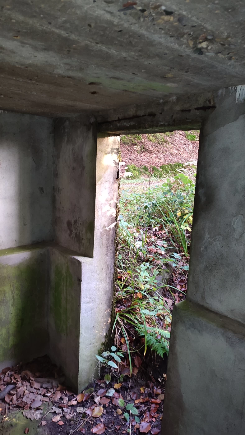 Ligne Maginot - GOERSDORF - (Blockhaus pour arme infanterie) - L'entrée