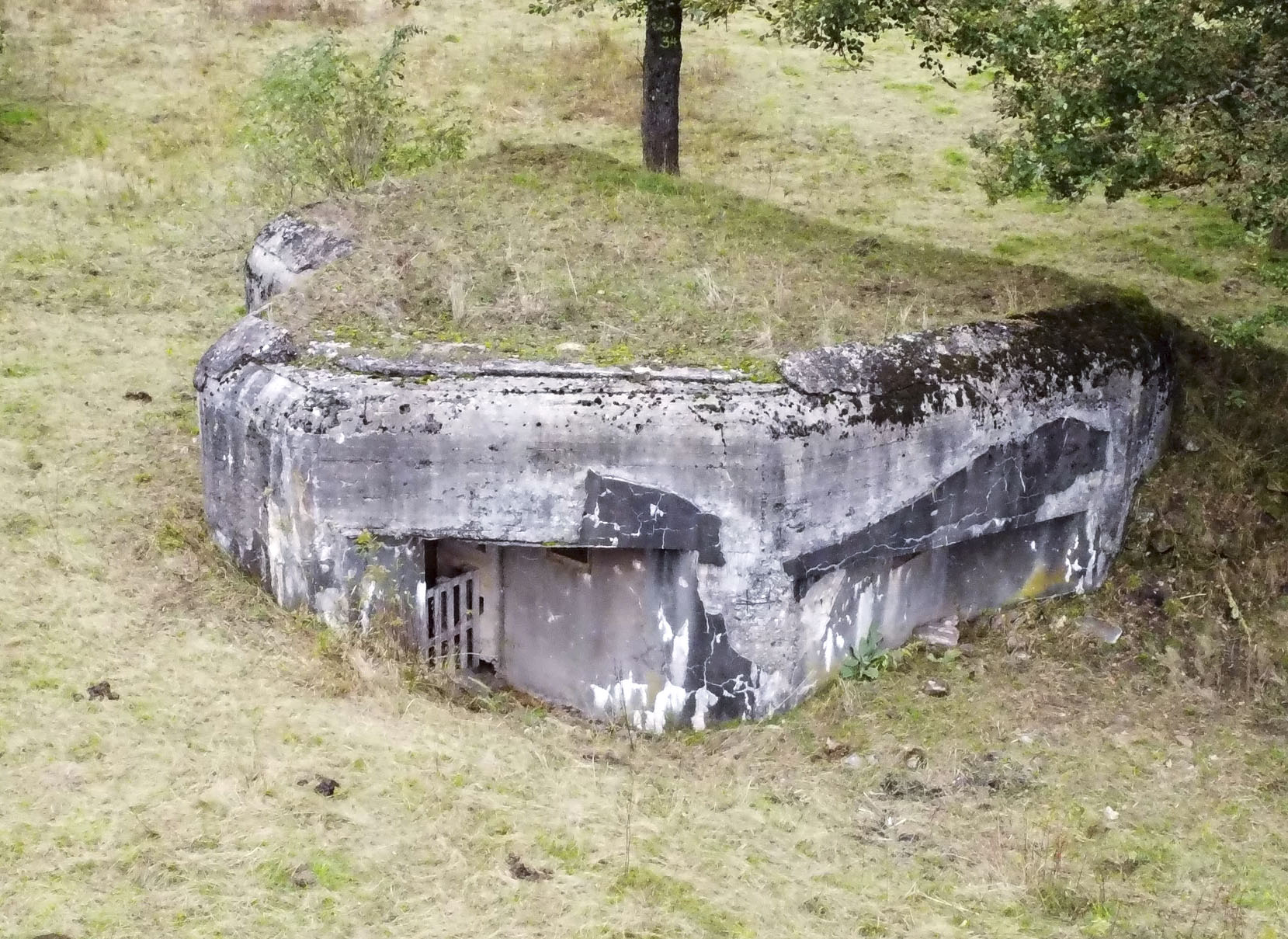 Ligne Maginot - NEUNHOFFEN NORD OUEST 1 - (Casemate d'infanterie - Simple) - Vue globale du bloc