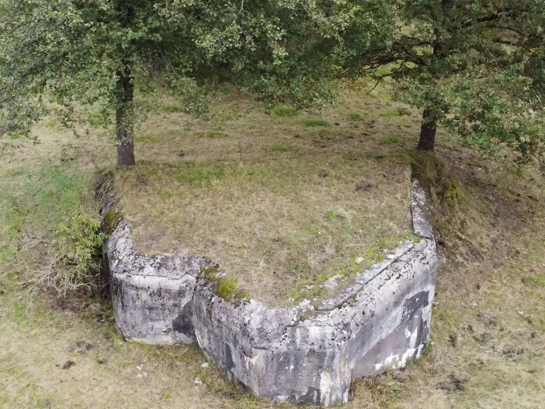 Ligne Maginot - NEUNHOFFEN NORD OUEST 1 - (Casemate d'infanterie - Simple) - Vue globale du bloc