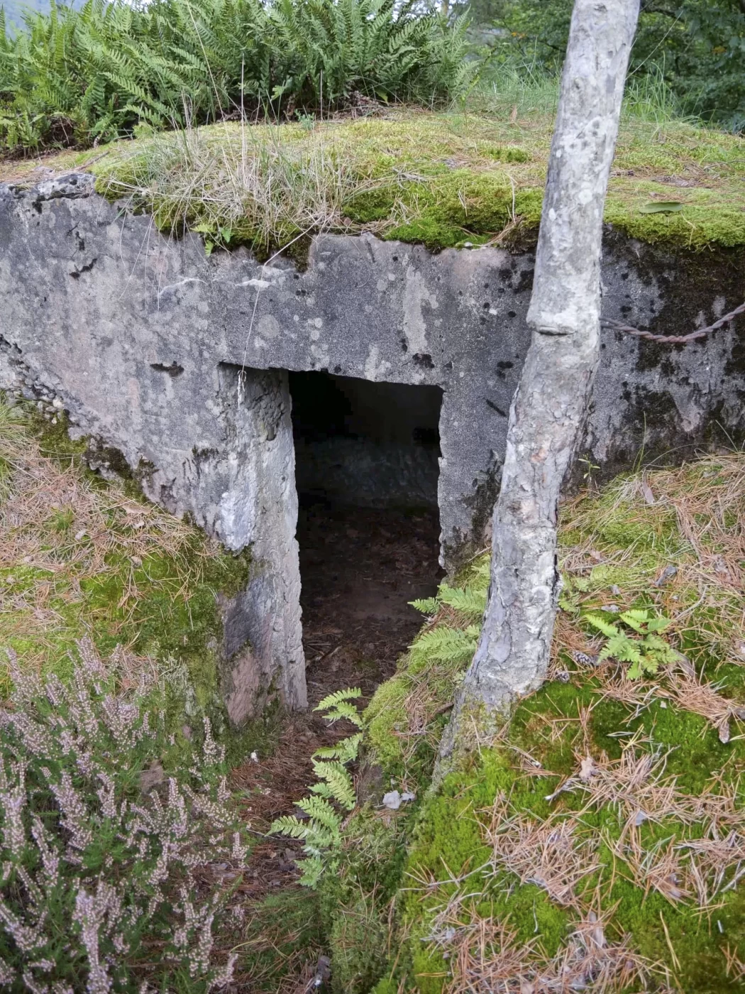 Ligne Maginot - HOHENFELS - (Observatoire d'infanterie) - L'entrée