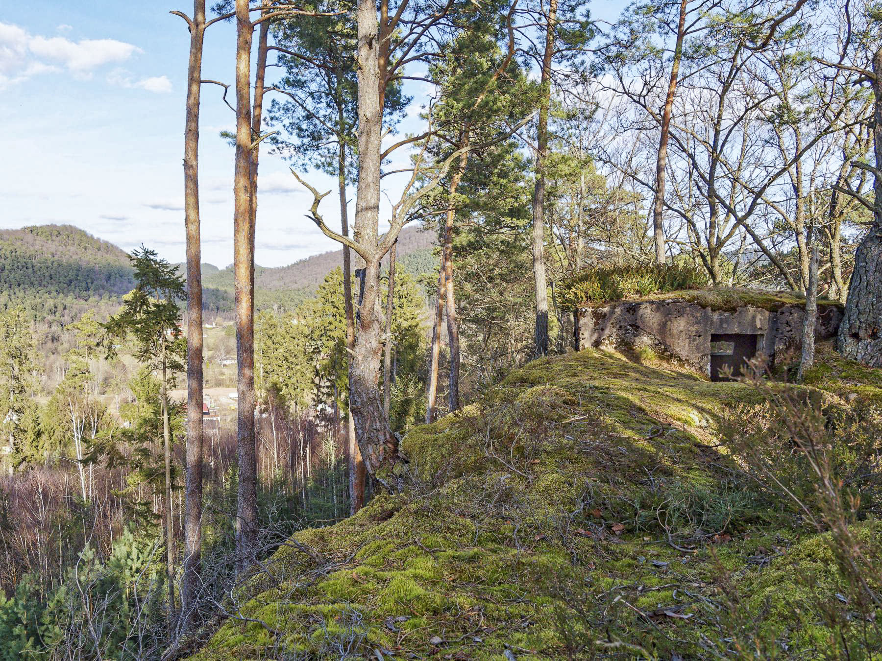 Ligne Maginot - HOHENFELS - (Observatoire d'infanterie) - Vue sur Dambach depuis l'observatoire