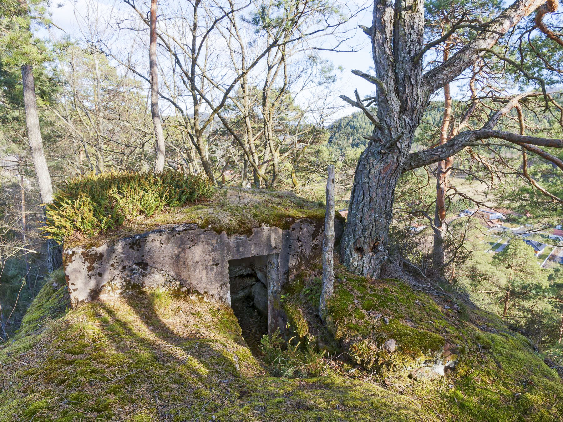 Ligne Maginot - HOHENFELS - (Observatoire d'infanterie) - L'entrée 