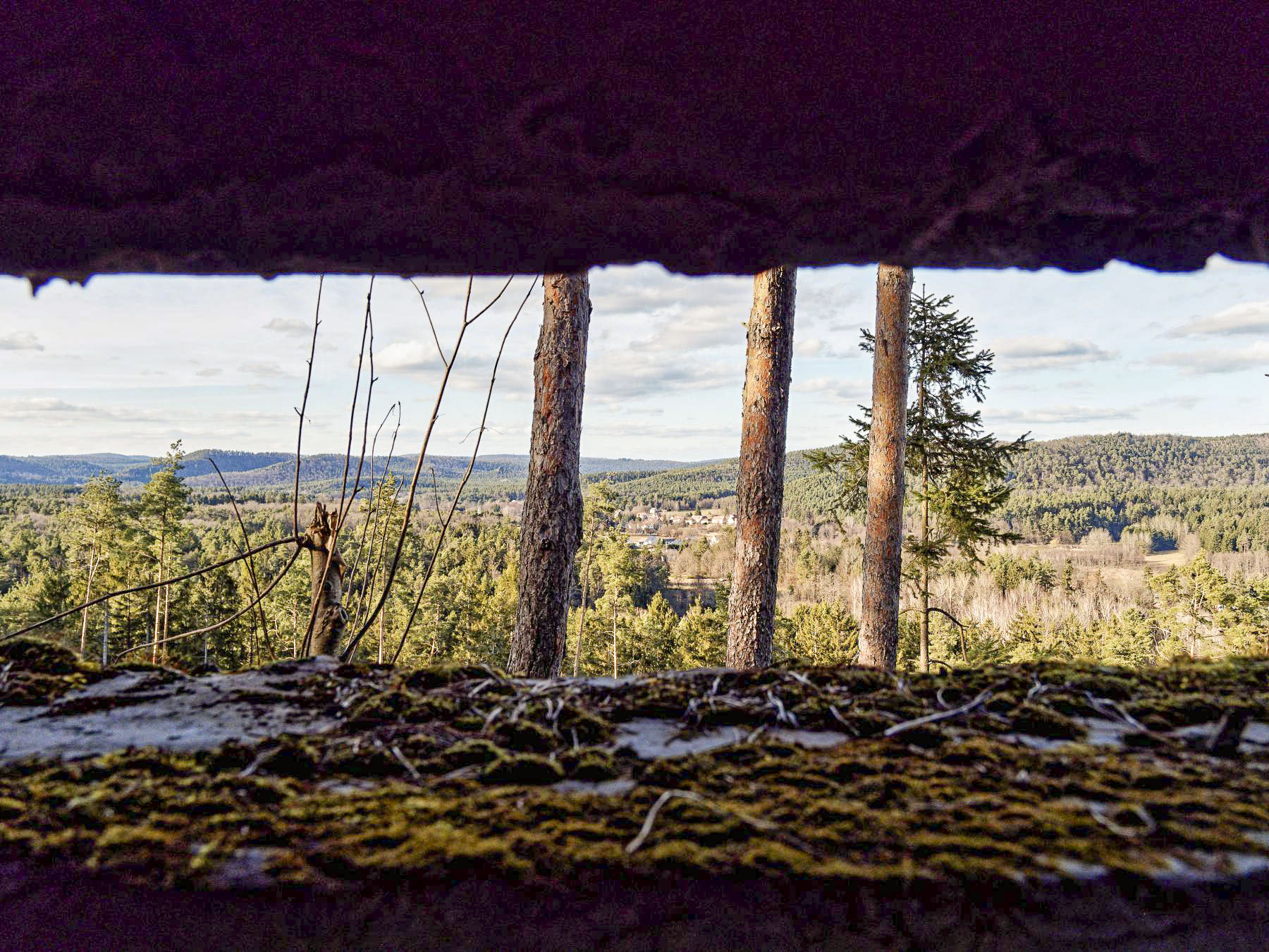 Ligne Maginot - HOHENFELS - (Observatoire d'infanterie) - Vue vers Neunhoffen