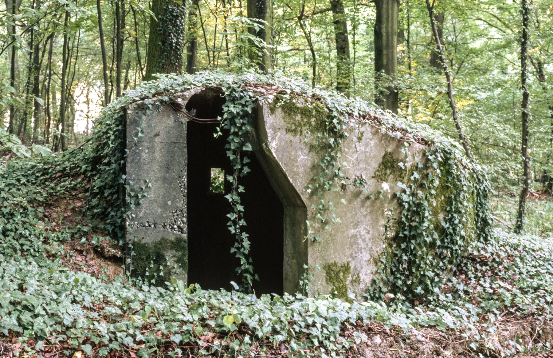 Ligne Maginot - BUCHENHUEBEL 1 - (Blockhaus pour arme infanterie) - 