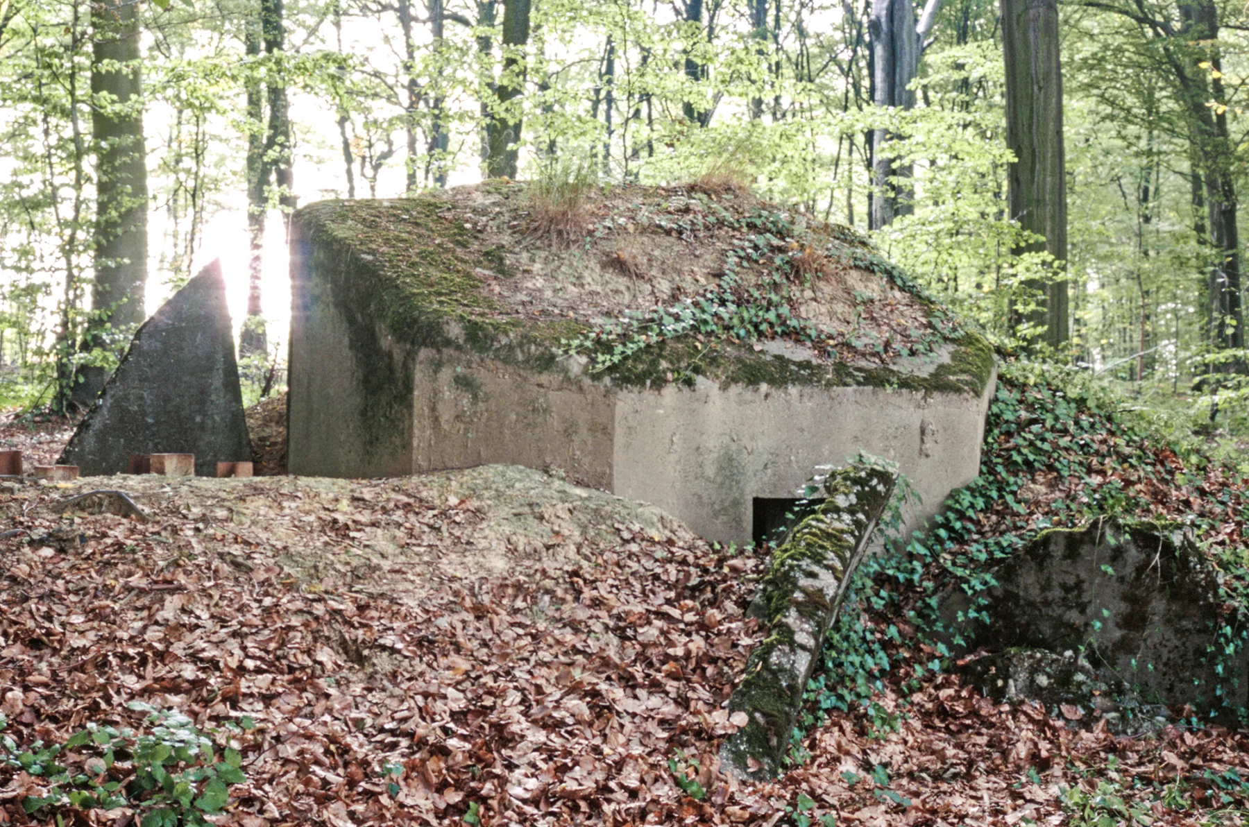 Ligne Maginot - BUCHENHUEBEL 3 - (Blockhaus pour arme infanterie) - 