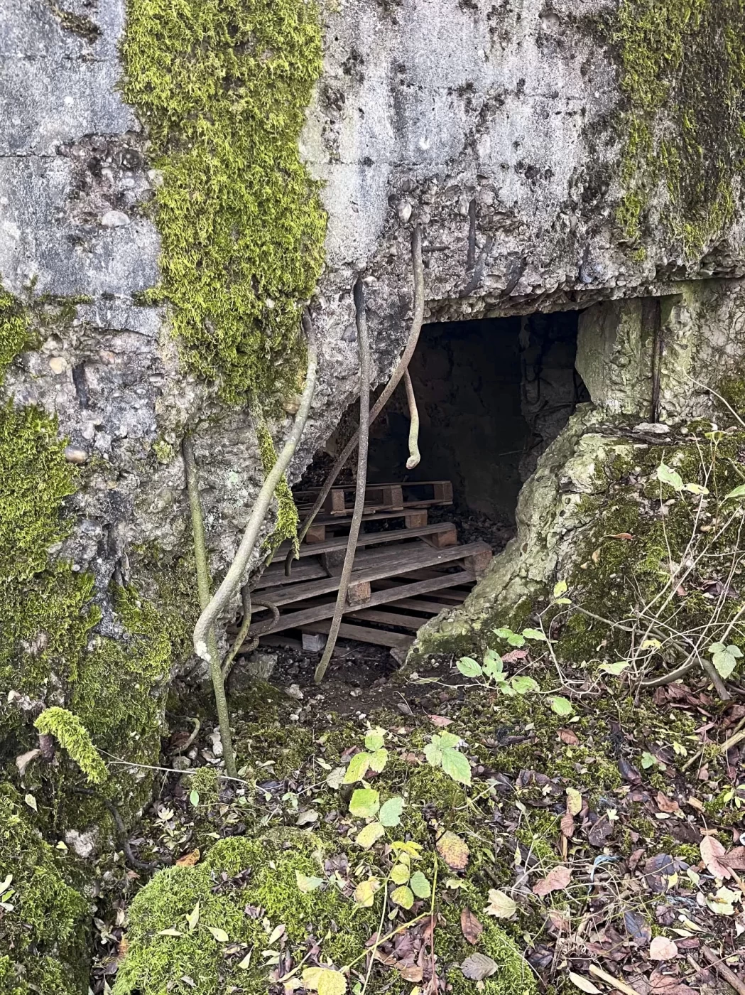 Ligne Maginot - LAUMONT - (Blockhaus pour canon) - Vue extérieure côté créneau du canon de 25. Dégâts causés par la tourelle du bloc 1 de Fermont