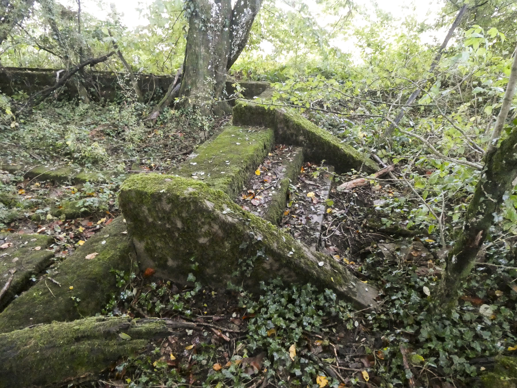 Ligne Maginot - BOIS DU FOUR - (Casernement) - Restes du casernement.