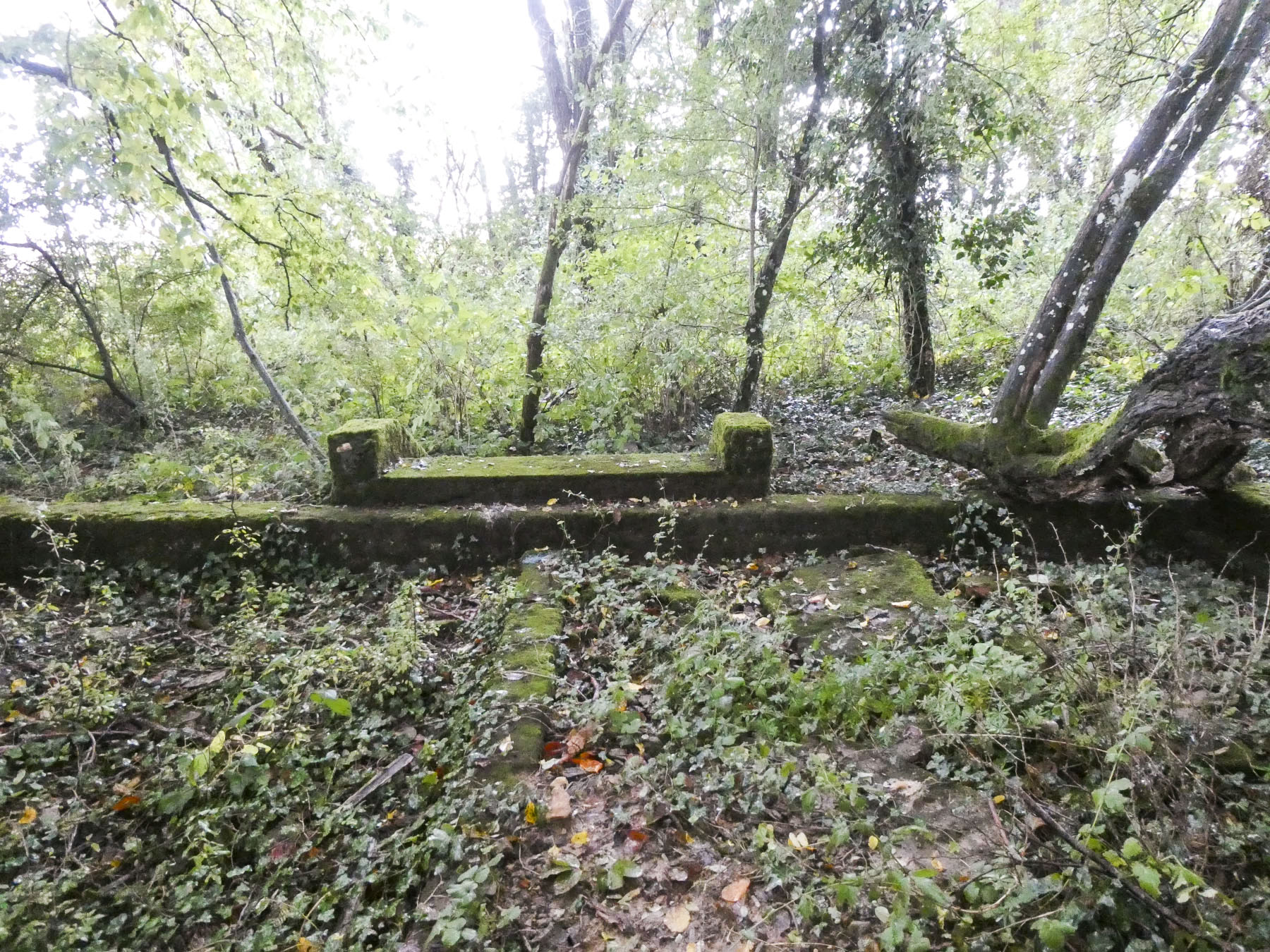 Ligne Maginot - BOIS DU FOUR - (Casernement) - Restes du casernement.