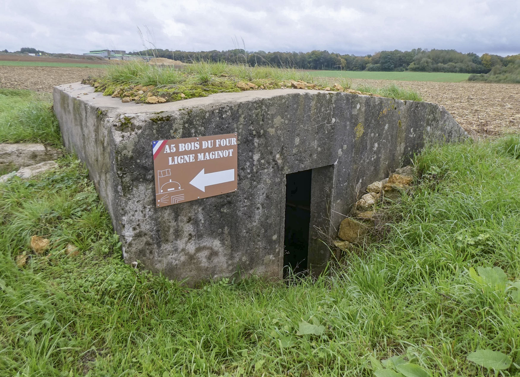 Ligne Maginot - DB18-D - FOND TOURNA - (Blockhaus pour arme infanterie) - L'entrée