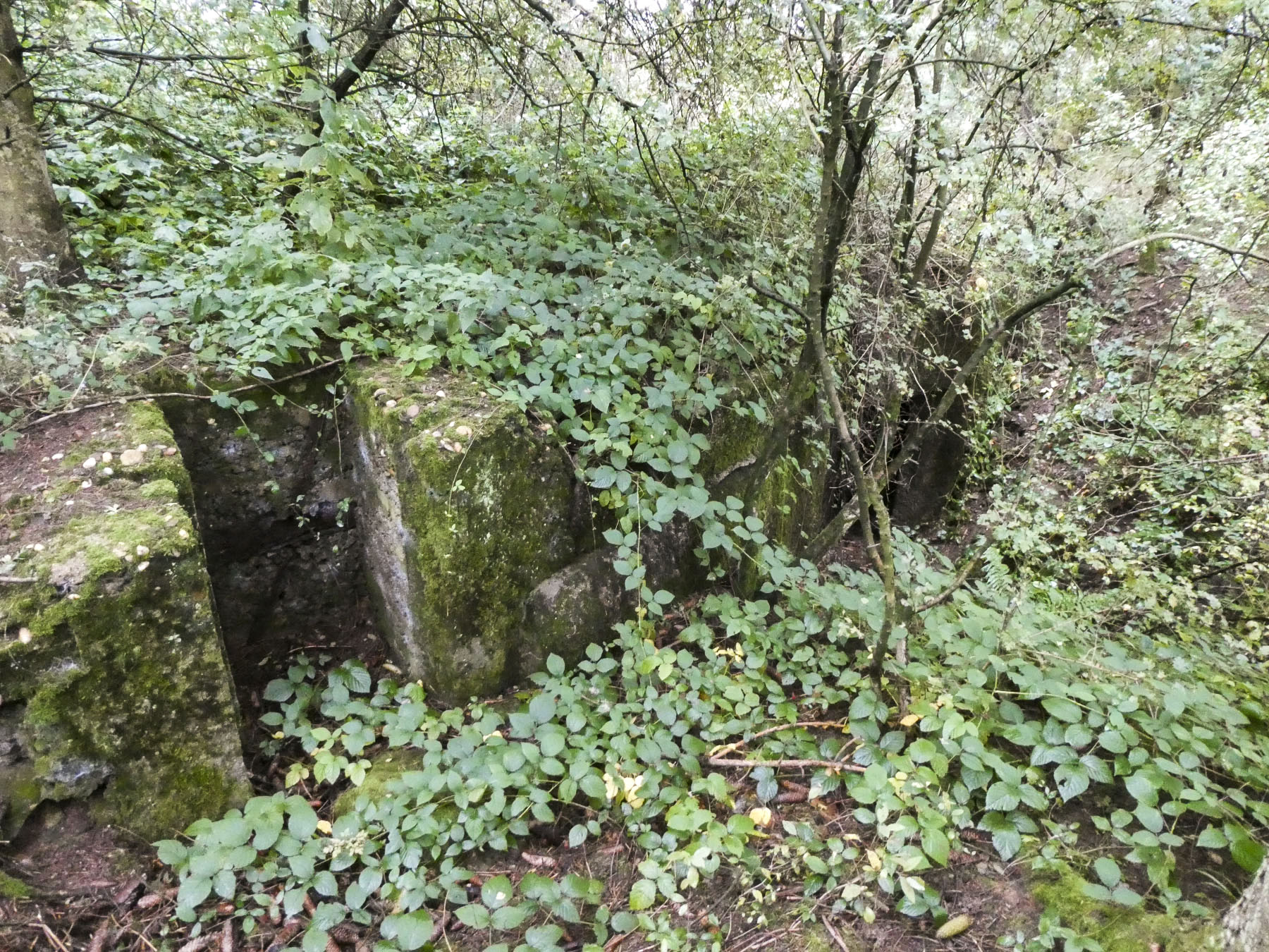 Ligne Maginot - DO2 - LUDELANGE - (Central téléphonique d'observation) - 