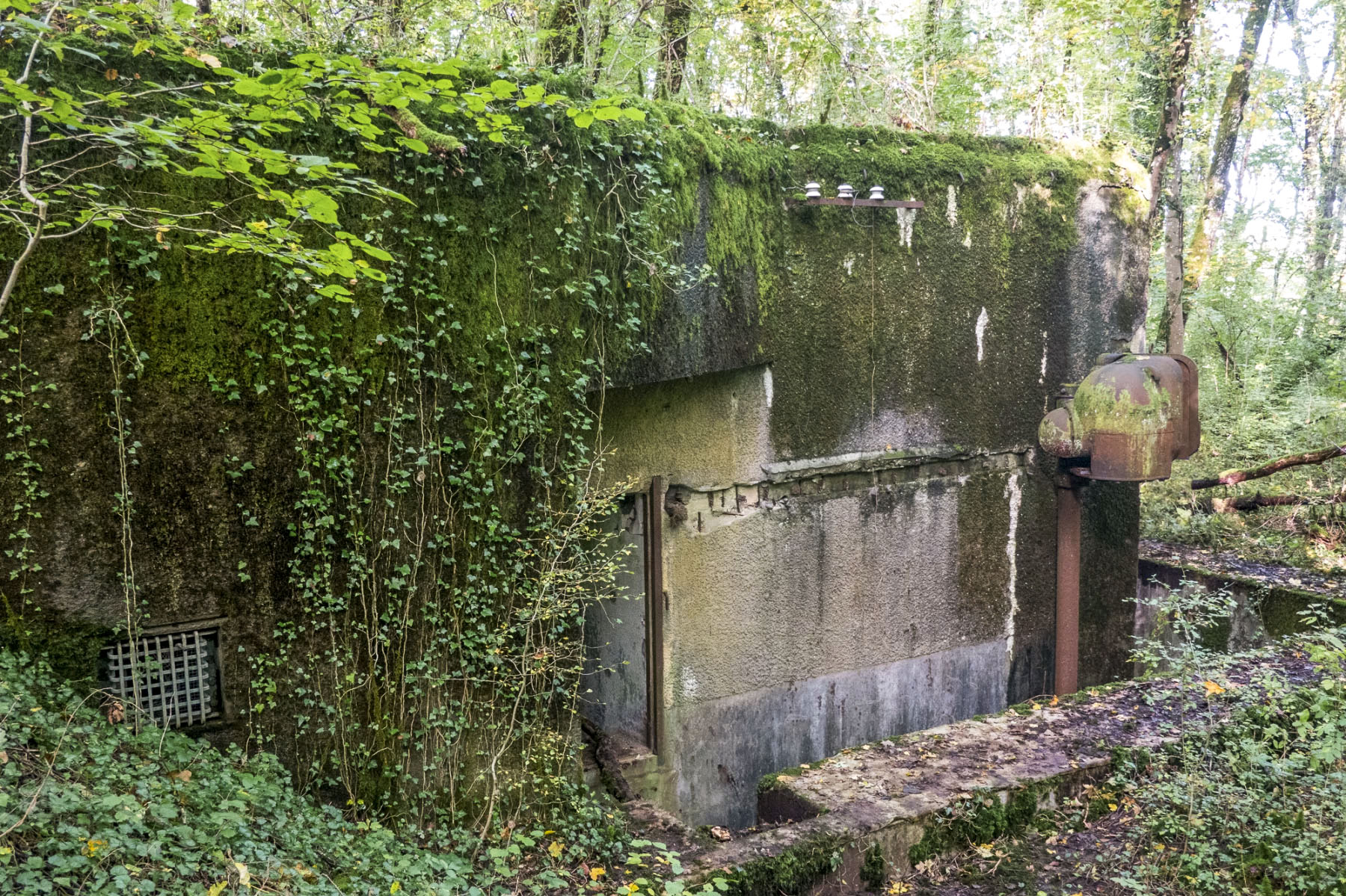 Ligne Maginot - BOIS DE TAPPE EST  - C6 - (Casemate d'infanterie - Simple) - Du coté de l'entrée