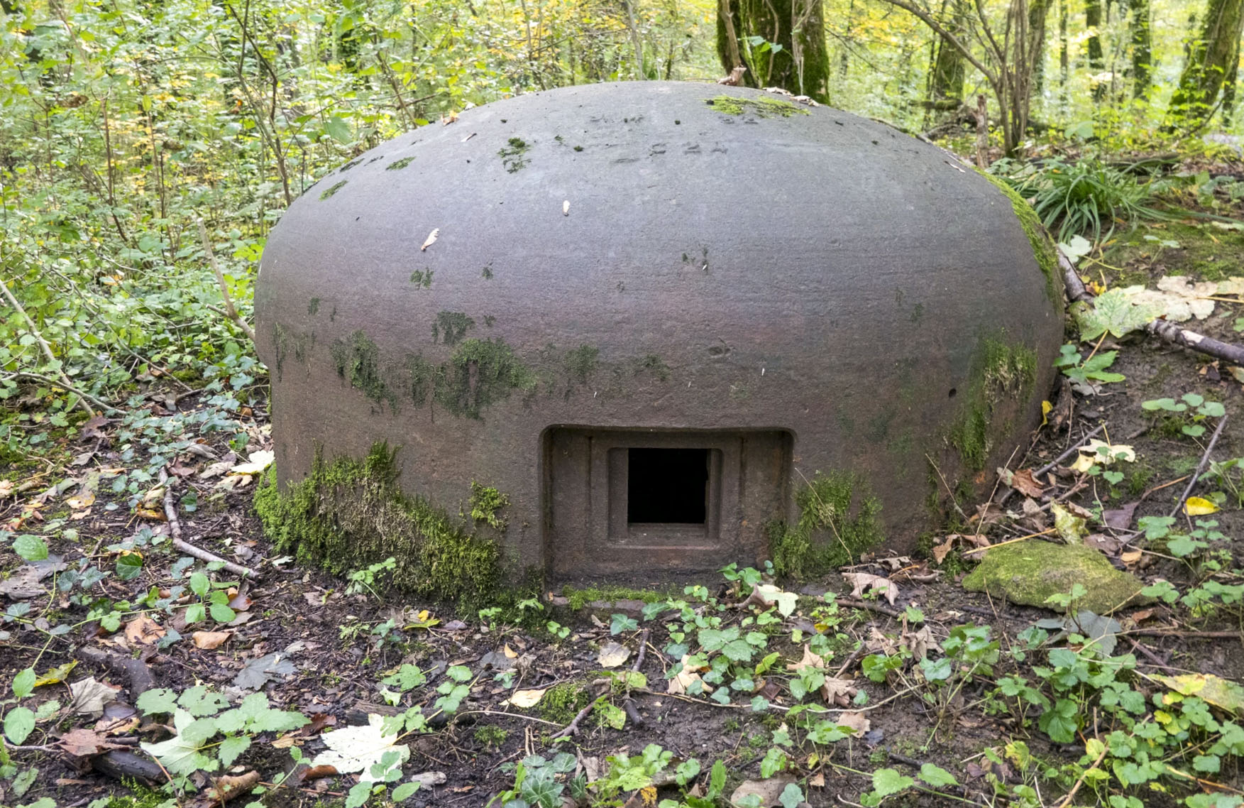 Ligne Maginot - BOIS DE TAPPE EST  - C6 - (Casemate d'infanterie - Simple) - Cloche GFM Est marquée C24