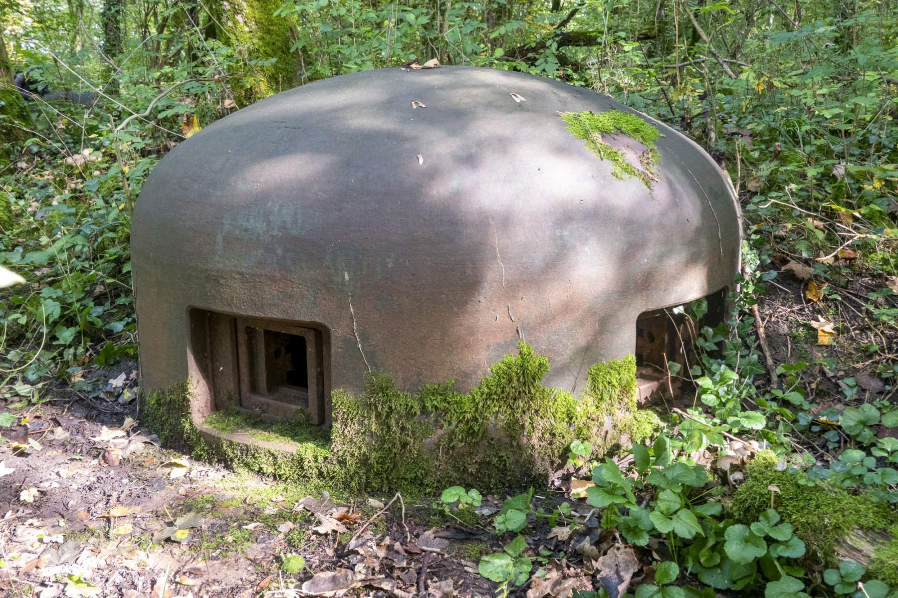 Ligne Maginot - BOIS DE TAPPE EST  - C6 - (Casemate d'infanterie - Simple) - Cloche GFM Ouest marquée C25