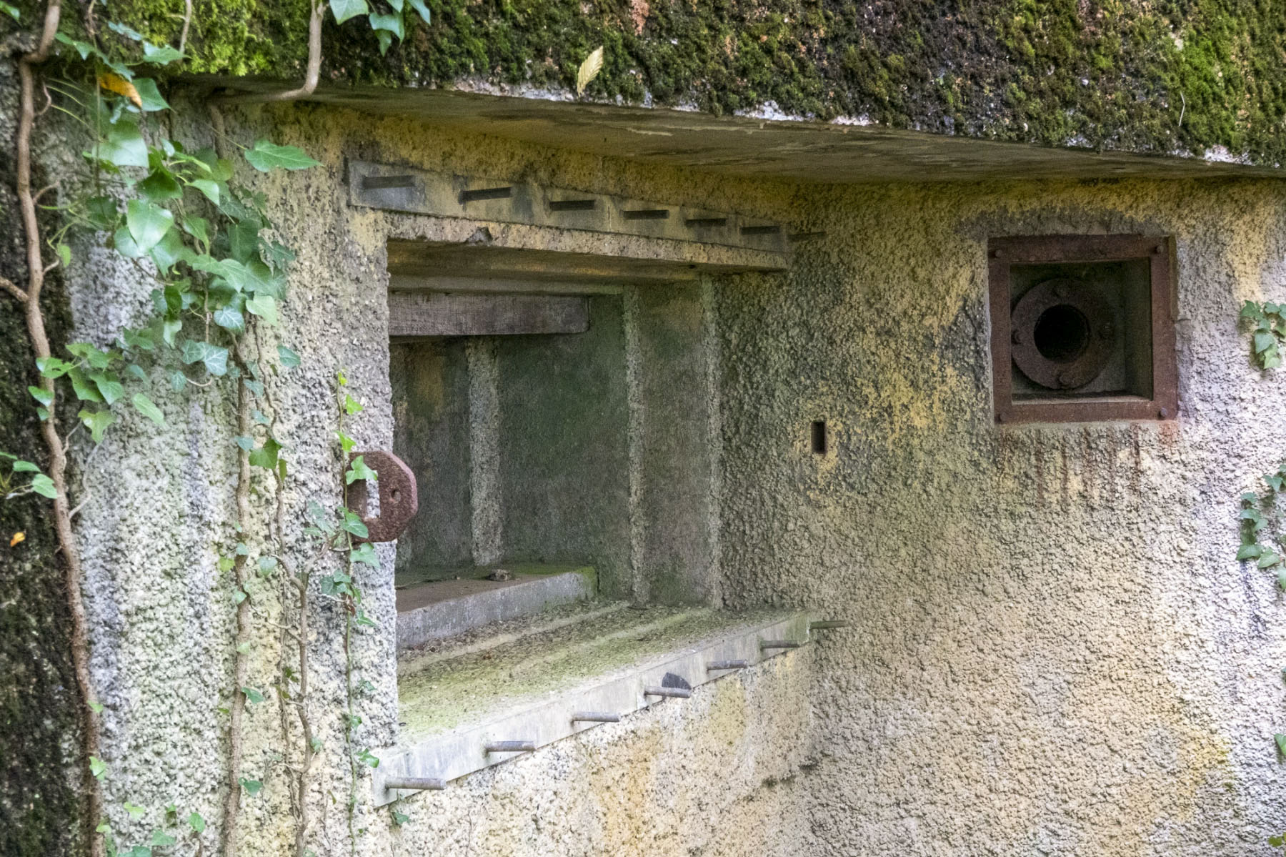 Ligne Maginot - DB30 - BOIS DE TAPPE - (Blockhaus pour canon) - 