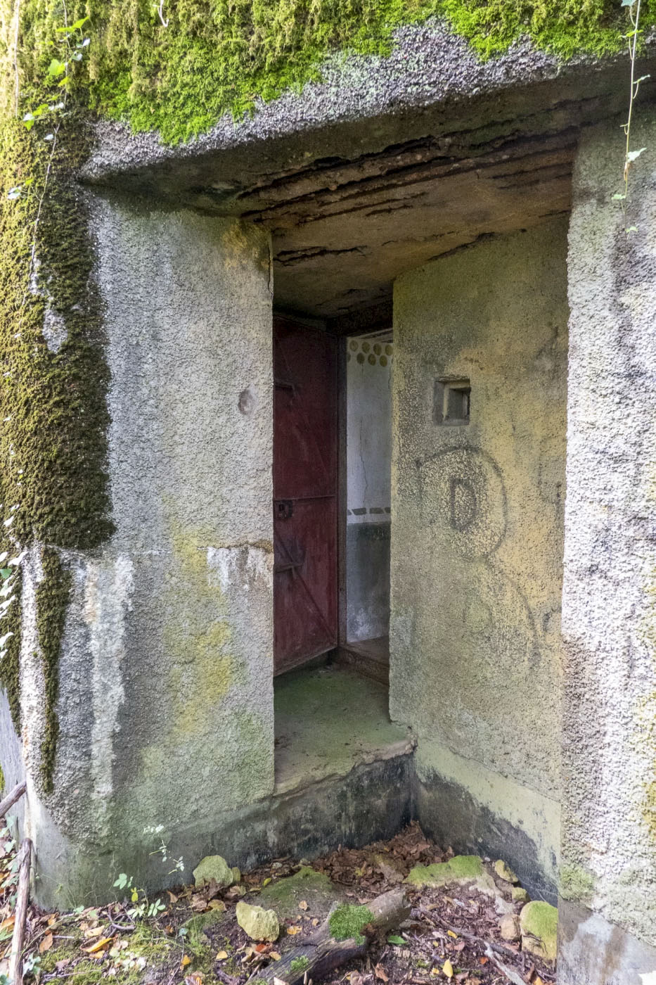 Ligne Maginot - DB30 - BOIS DE TAPPE - (Blockhaus pour canon) - L'entrée